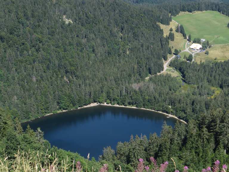 Von Caritas Haus Feldberg Ggmbh Nach Raimartihof Koppel