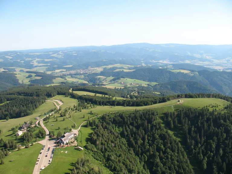 Auf dem Single Trail durch den Bienwalder Bärlauchwald - Start in Kandel,