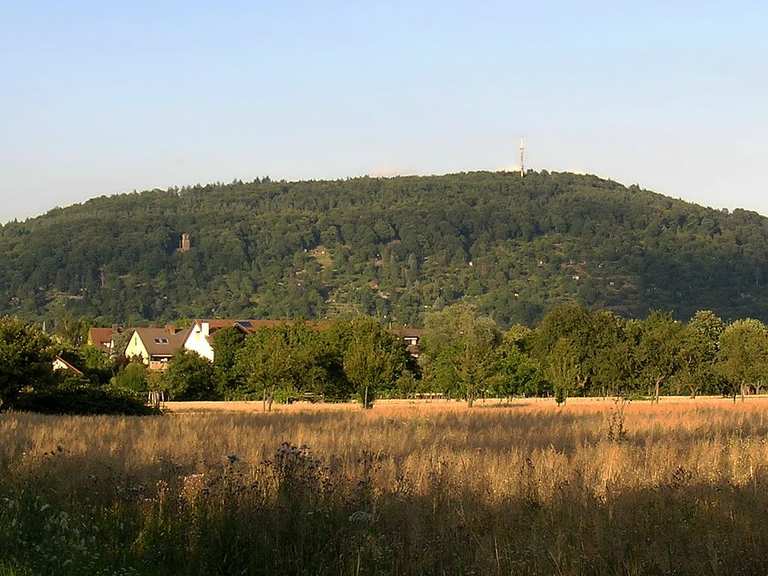 Singletrail ettlingen