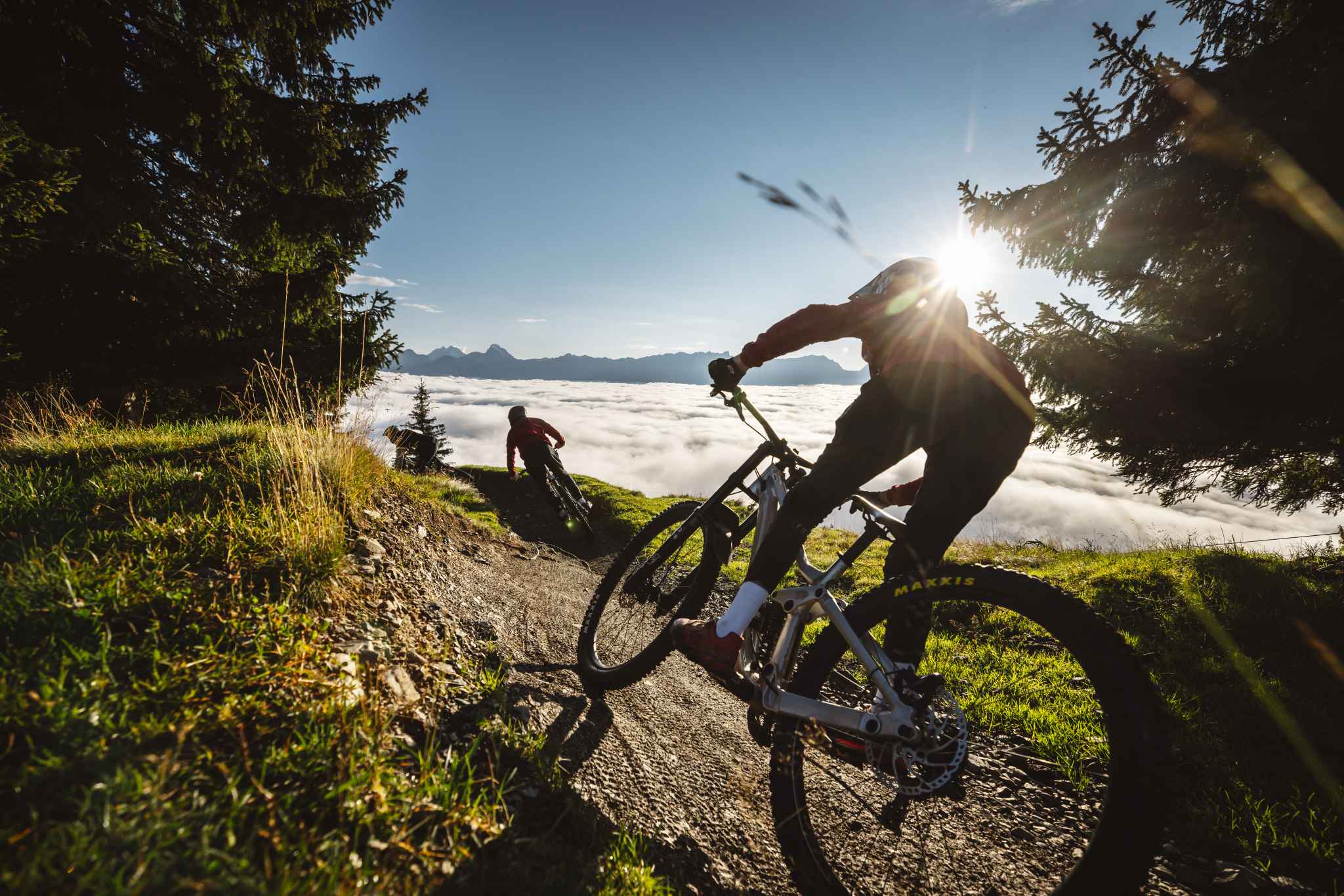 fahrrad bockenheim an der weinstraße bis weißenburg