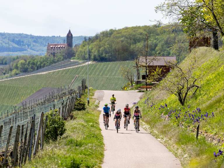 1000 Hügel-Pässe: Pässe im Kraichgau-Stromberg | Fahrrad-Collection von ...