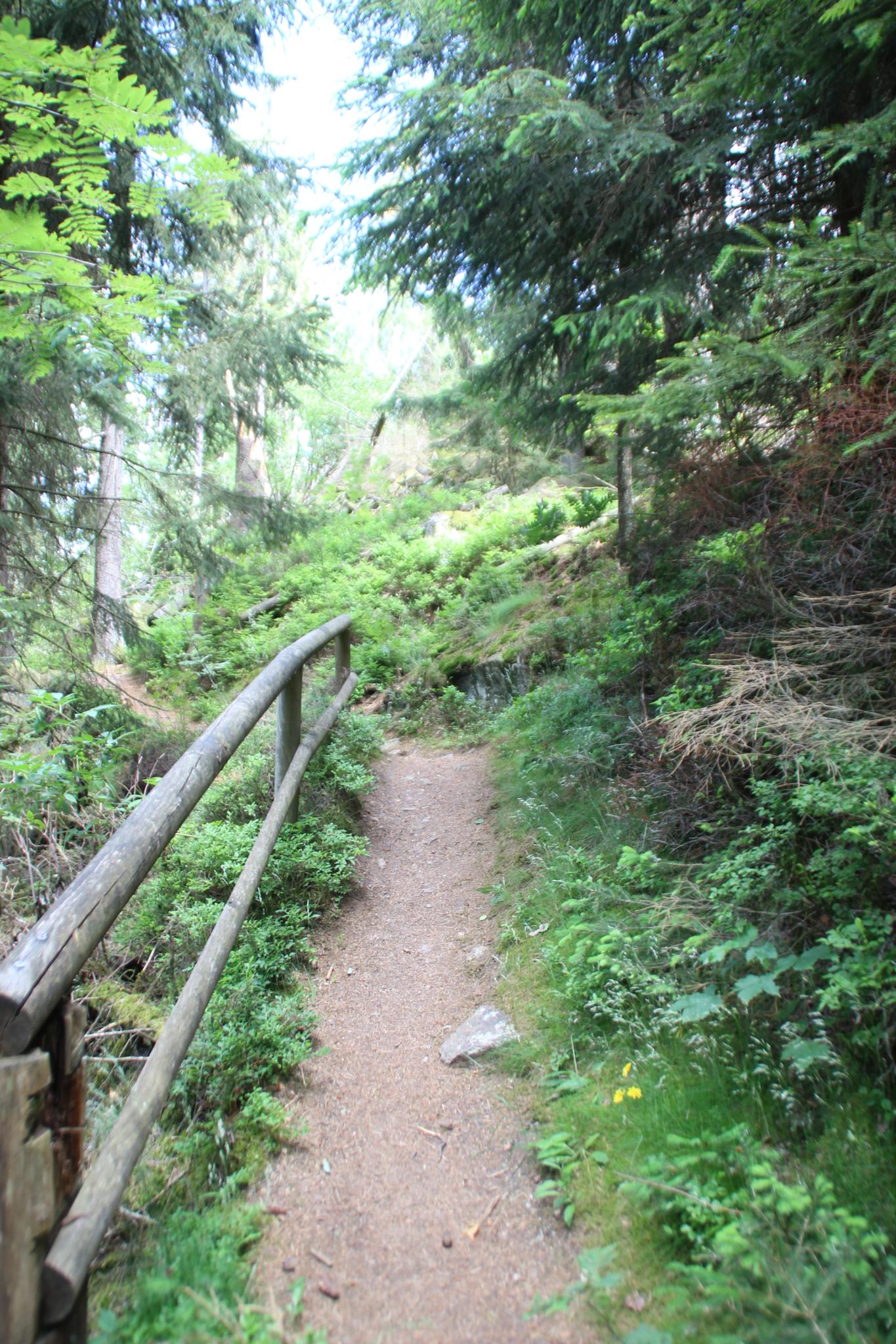 Steinbruch Rundwanderweg