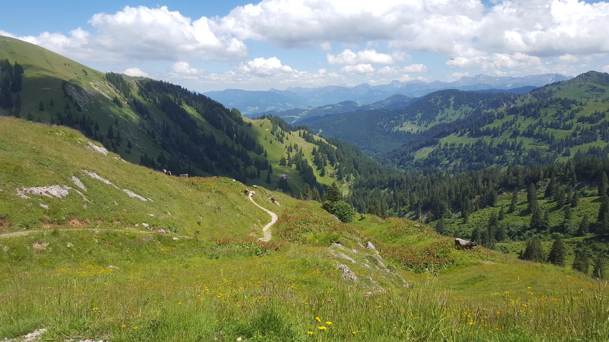 Panorama Rundwanderweg, Hochgrat, 04.07.2017 | Wanderung | Komoot