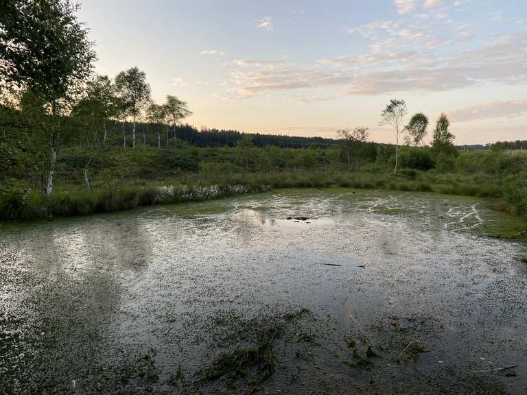 Solling Tour Kleebornquelle, Neuer Teich, Hellental, Hochmoor