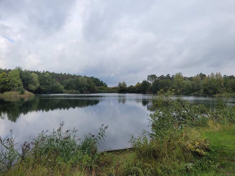 [Region Hannover] Kolshorner Kiesteiche & Altwarmbüchener Moor