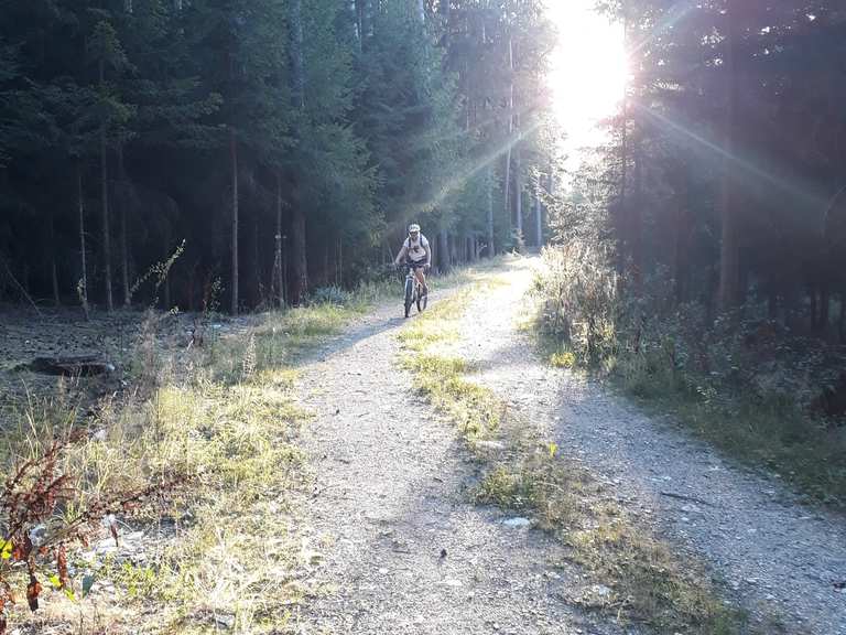 Volksfest Wolnzach mountain bike ride Komoot