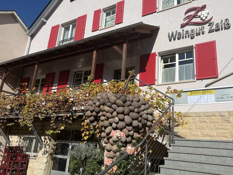 stuttgart-kappelberg-katharinenlinde-ailenberg-sonna-besa