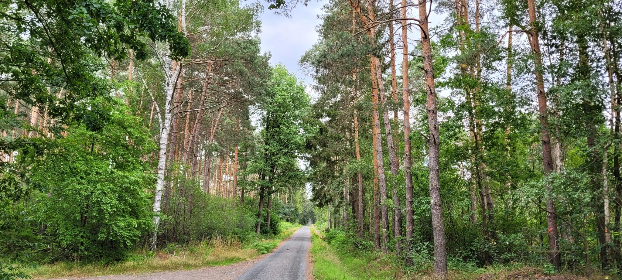 181e875cf9e?width=640&height=360&crop=true&q=70 Tourismus Bad Lausick &ndash; Touren - Wanderung Bad&nbsp;Lausik&nbsp;&ndash;&nbsp;Parthequelle