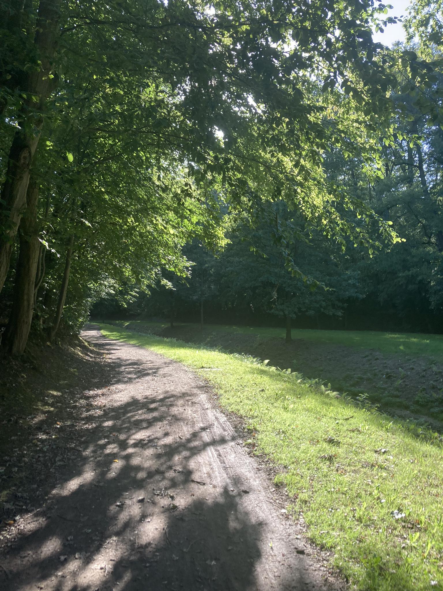 189e578725b?width=640&height=360&crop=true&q=70 Tourismus Bad Lausick &ndash; Touren - Ringweg Steingrundbach (TK 3)