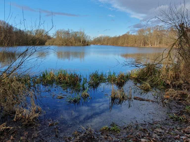 Hannover 231 Von Waldheim nach Wülfel durch die Ricklinger