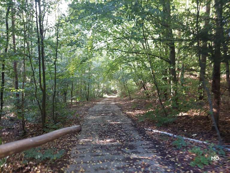 alte-grenze-kolonnenweg-elbe-boizenburg-13-wanderung-komoot