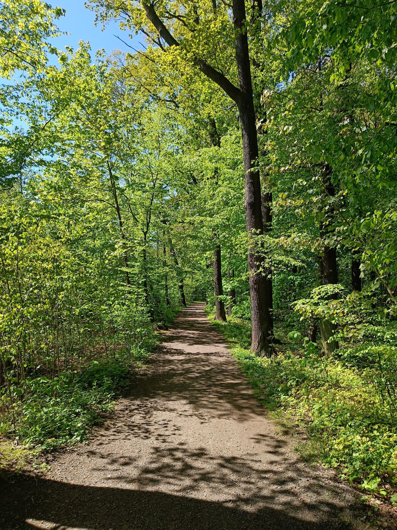 18f1ff8824d?width=640&height=360&crop=true&q=70 Tourismus Bad Lausick &ndash; Touren - Geldbergring (TK 8)