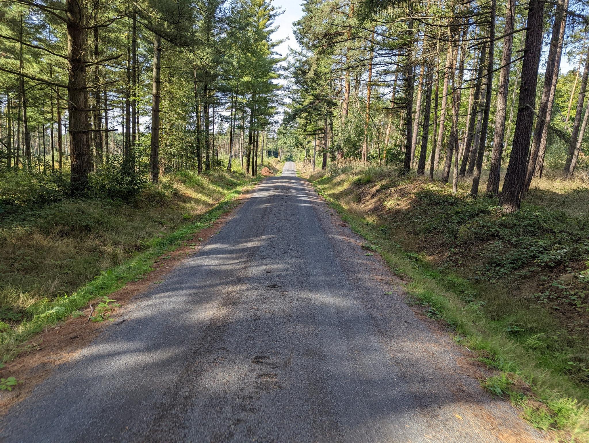 183786eae35?width=640&height=360&crop=true&q=70 Tourismus Bad Lausick &ndash; Touren - Radtour Bad Lausick &ndash; Colditz