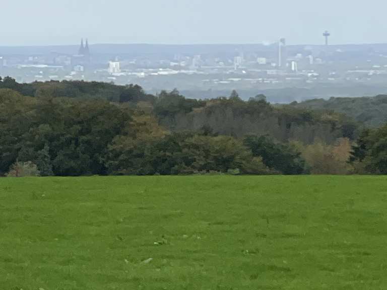 Romaney Rommerscheid Igeler Hof Laufrunde Komoot