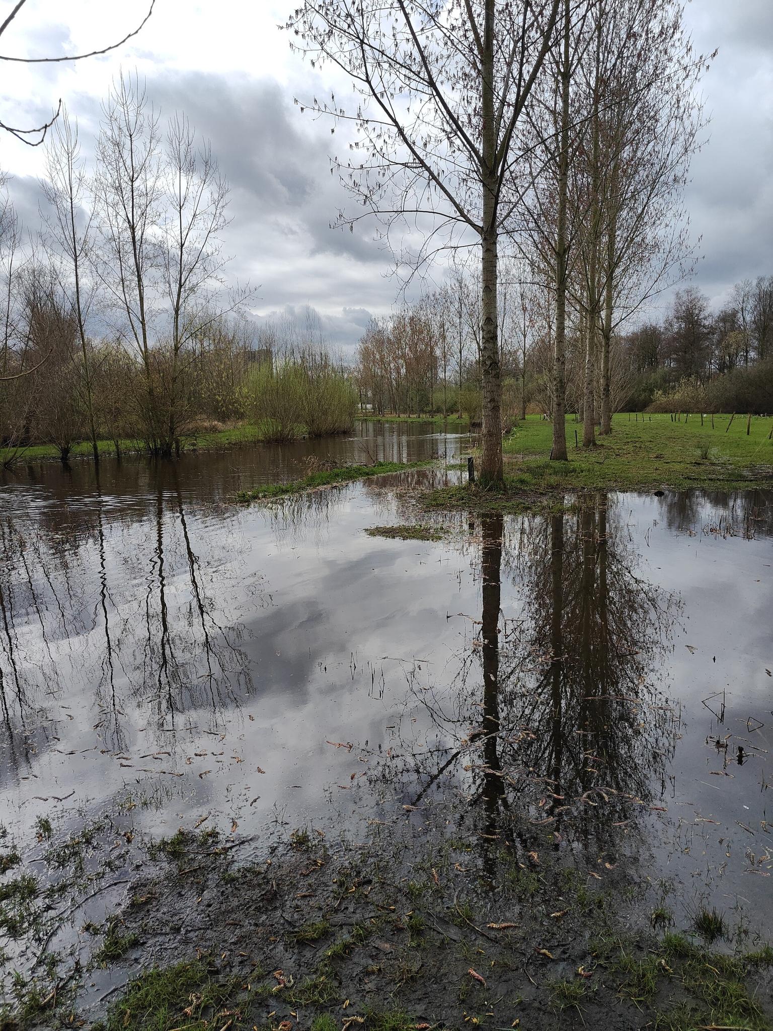 18e41e8383e?width=3072&height=2304&crop=false&q=70