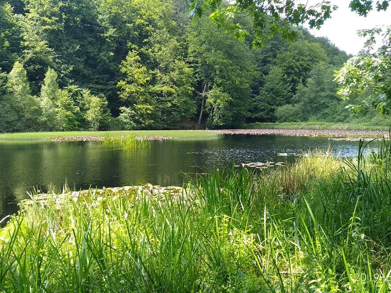 PirmasensMoosbachtal bei DahnPirmasens bike Tour Komoot