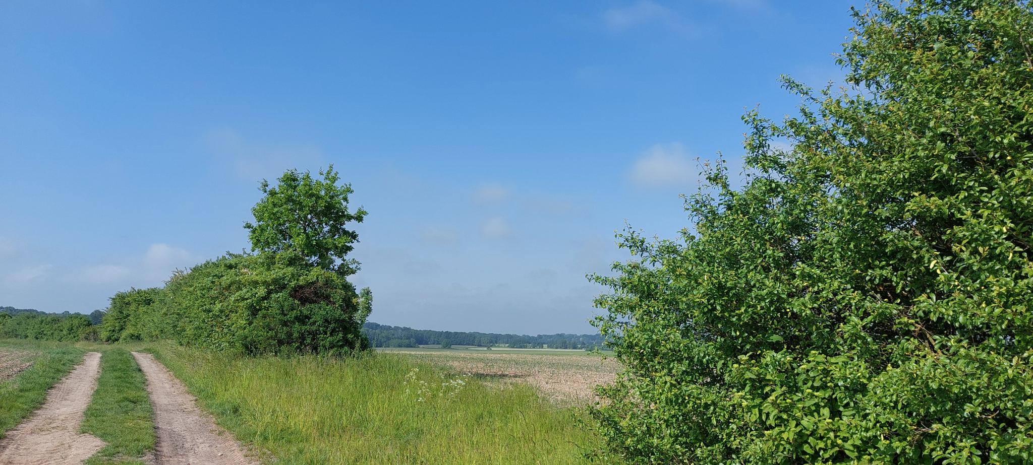 18851f8fc41?width=640&height=360&crop=true&q=70 Tourismus Bad Lausick &ndash; Touren - Kleiner Glastener Ringweg (TK9)