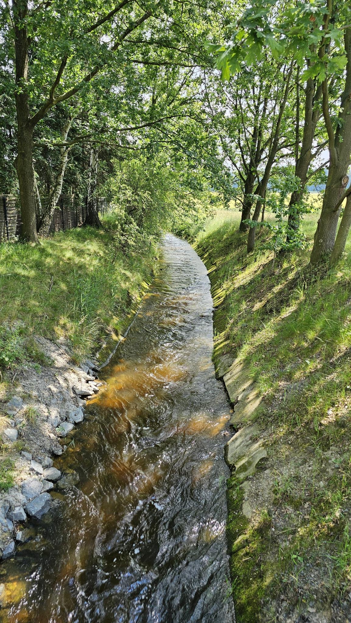 18ffcfcd4ab?width=640&height=360&crop=true&q=70 Tourismus Bad Lausick &ndash; Touren - Etzoldshainer Westring (TK 5)