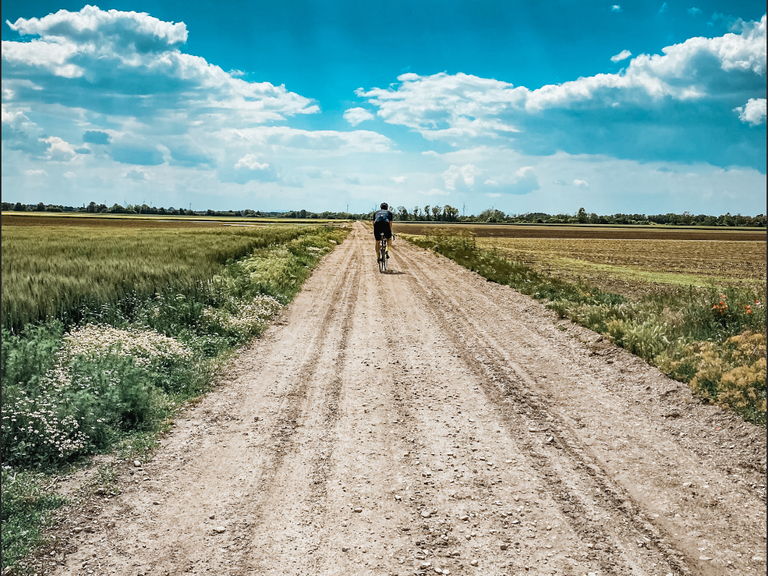 Gravel Vienna Komoot