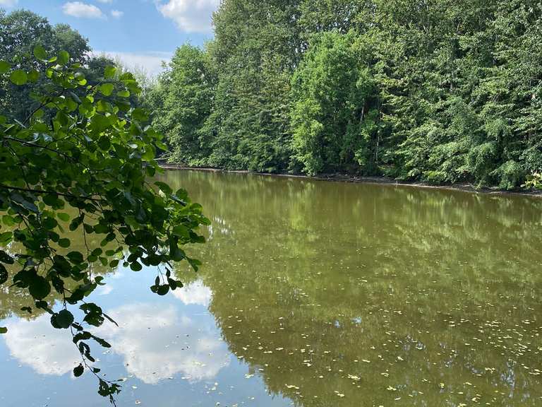 Von Chemnitz nach Teichmühle Bräunsdorf emountain bike ride Komoot