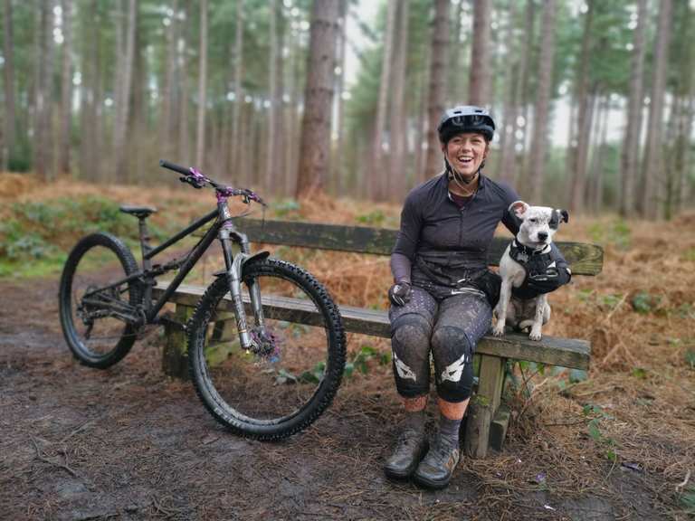 sherwood forest mountain biking