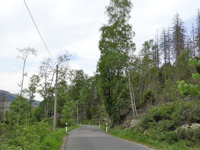 Brockenwanderung im Harz Teil 3 vom 23.05.2022 Abstieg zum