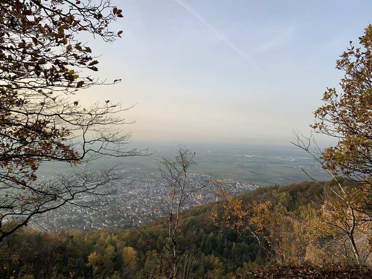 Odenwald Von Dossenheim nach Schriesheim über Ölberg Wanderung Komoot