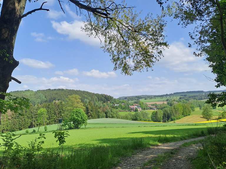 Waldershof Walbenreuth Wolfersreuth Wanderung Komoot