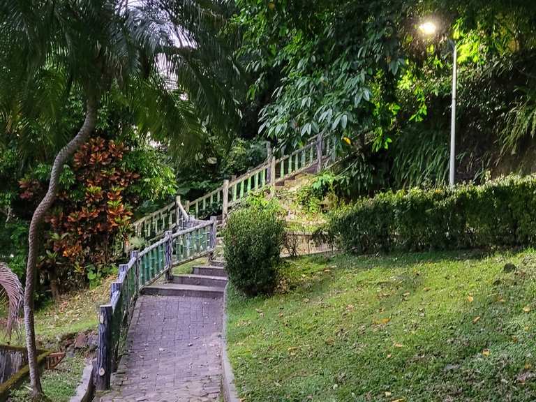 [問題] 請教陽明山大縱走15連峰