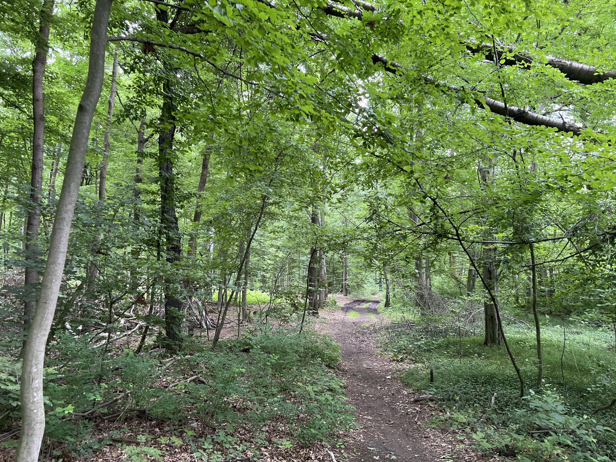 18152b8f0e0?width=640&height=360&crop=true&q=70 Tourismus Bad Lausick &ndash; Touren - Geldbergring (TK 8)