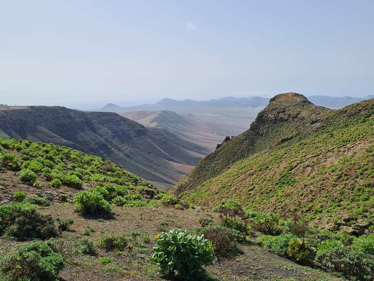 LANZAROTE HariaTal der 1000 PalmenRisco de Famara SteilküsteParque el BosquecilloBarranco