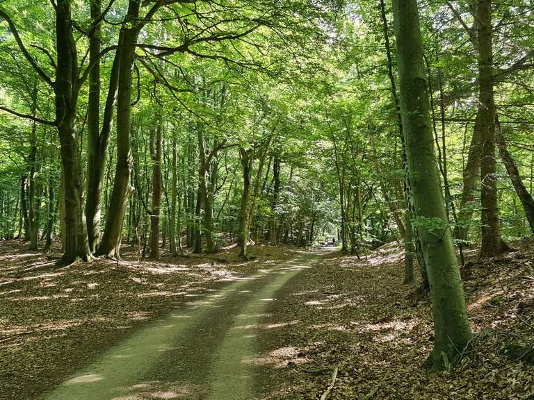 Ostseeküsten-Wanderweg E9 - Von Ahrenshoop nach Barth (Bus-Ahrenshoop ...