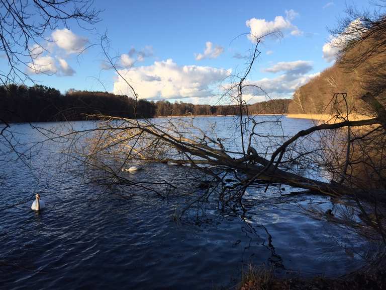 Brandenburg Von Bernau (b Berlin) über Lobetal nach Wandlitz