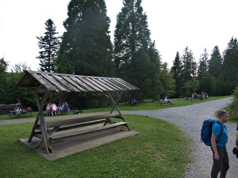 Grünhütte nach Bad Wildbad | Wanderung | Komoot