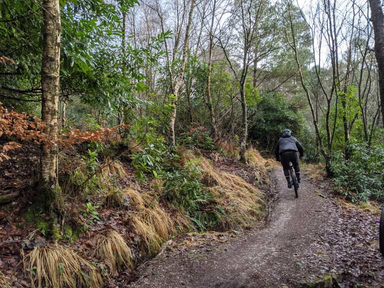 ashdown forest mountain biking