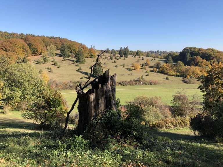 Meteorkrater-Rundwanderweg Steinheim am Albuch | Wanderung ...