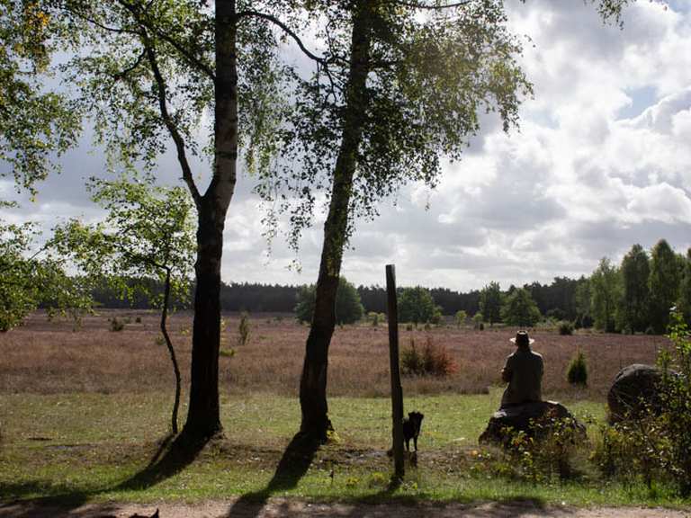 Lüneburger Heide, Naturpark Südheide, Angelbecksteich, Hermannsburg