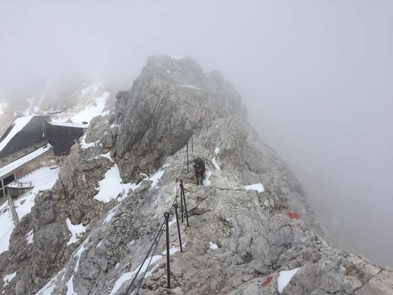 Mit Hund auf die Zugspitze Bergtour Komoot