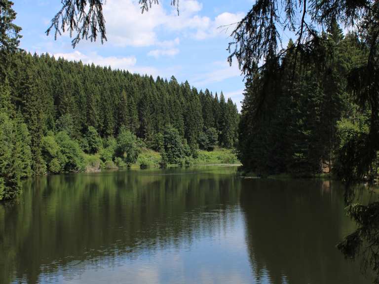Harz HWN Hahnenklee Unterer Grumbacher Teich Hahnenklee (113