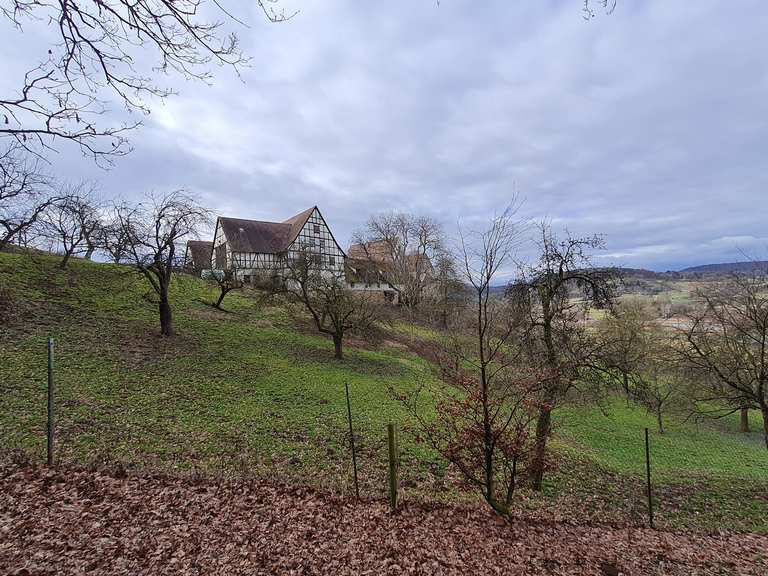 Tübingen Bismarkturm und Schwärzlocher Hof Wanderung Komoot