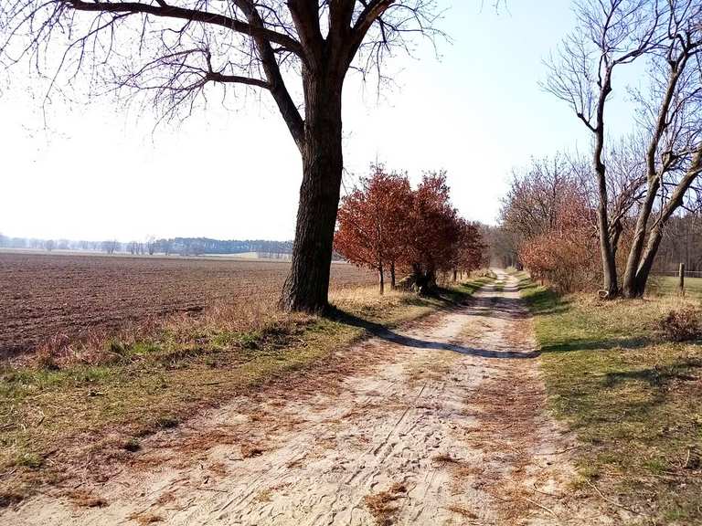 Schönerlinder Teiche, Löwenzahnpfad, Mühlenbecker Land [S Mühlenbeck