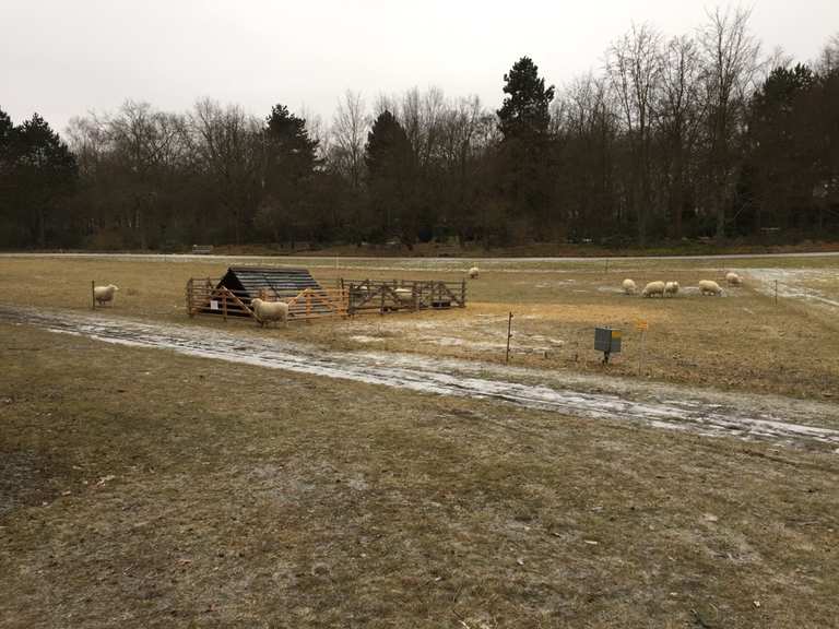 Berlin Von Mariendorf über Britzer Garten und