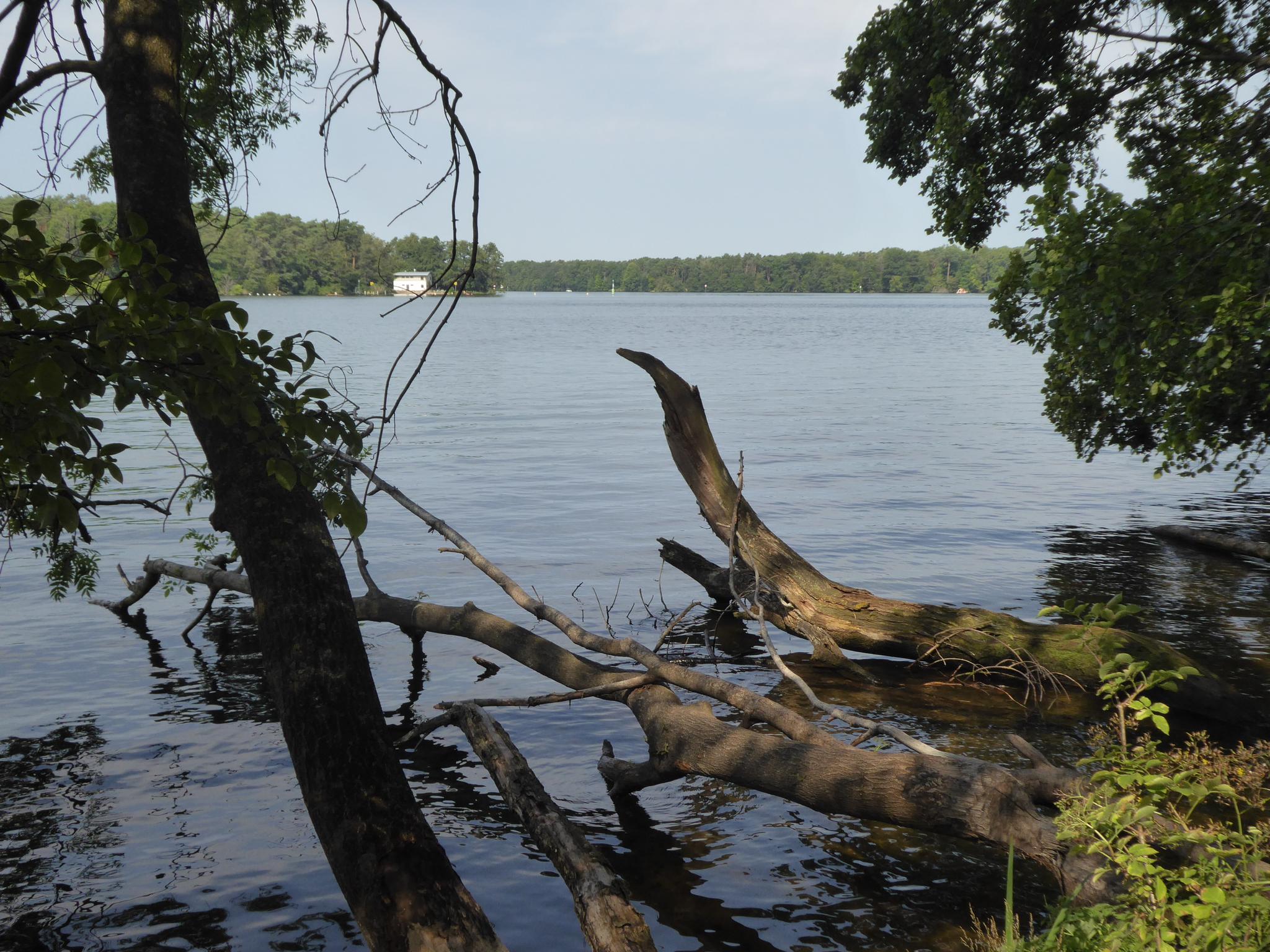 Wanderungen Kopenicker Seen Komoot