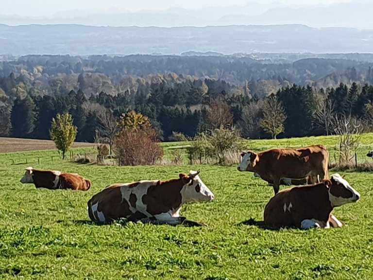 Deggenhausertal Bergtour Höchsten [PremiumWanderweg] Wanderung Komoot