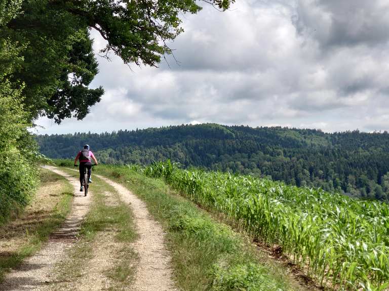 MTBTour Rütschelen Dornegggütsch Madiswil Roggwil 26.06.2022