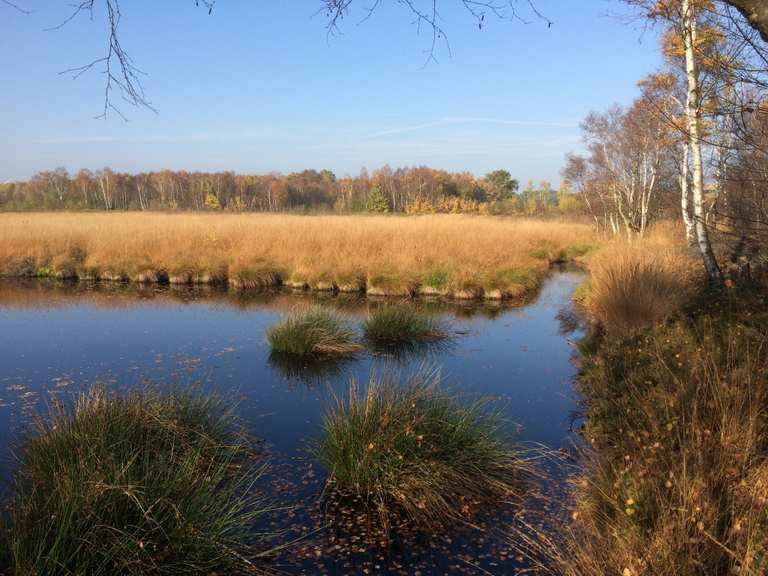 Emsdettener Venn - Rundwanderweg | Wanderung | Komoot