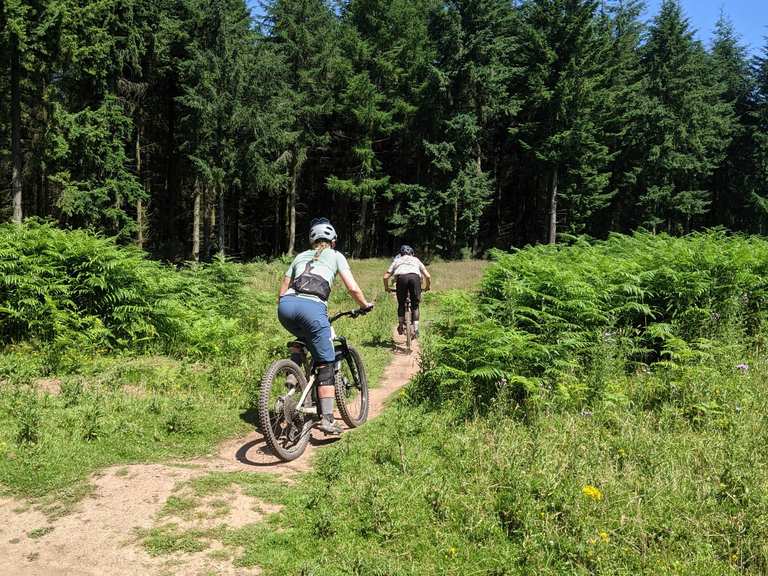 Triscombe mountain bike trails hot sale