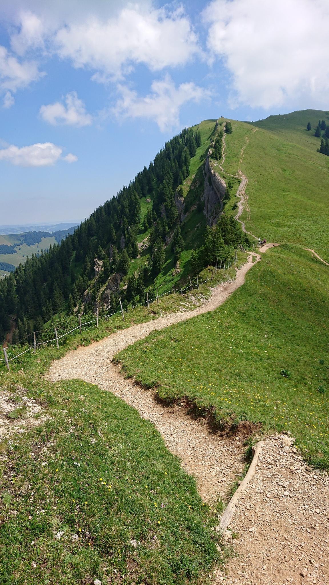 Panoramaweg Auf Dem Hochgrat | Wanderung | Komoot