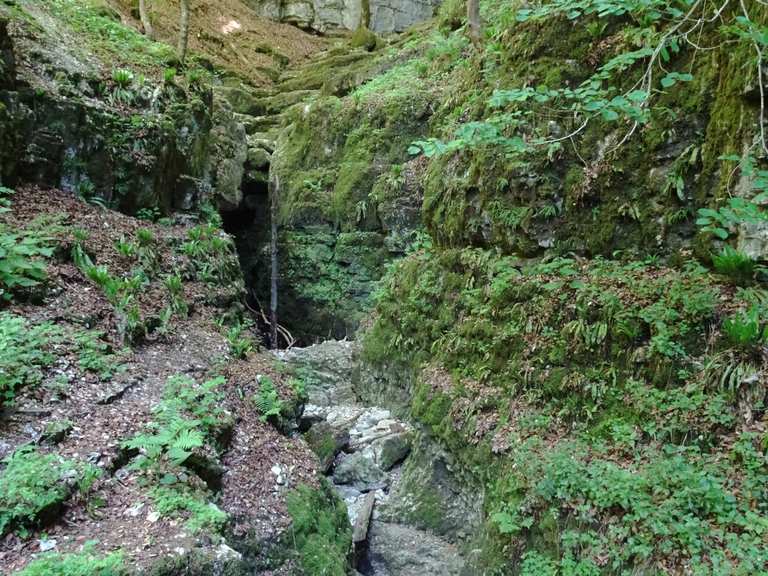 Hohenwittlingensteig / Wolfsschlucht / Schillerhöhle - Wanderung bei ...