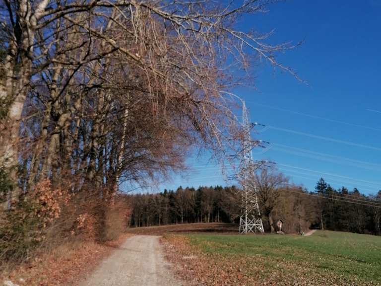 Schellenberg Gipfel, Inntalblick Schwammerl, Schellenberghaus